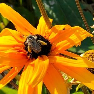 Meet your Posher, Lynn